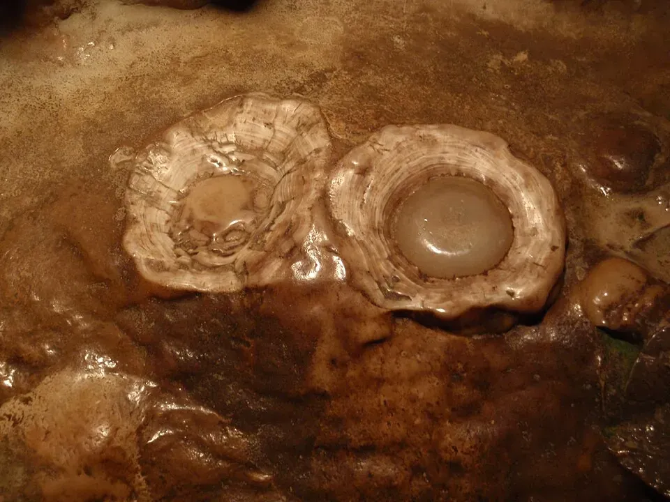 The "Fried Eggs" rock formation at Luray Caverns